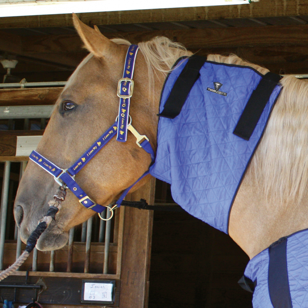 TechNiche Evaporative Cooling Horse Neck Coolers TechNiche International