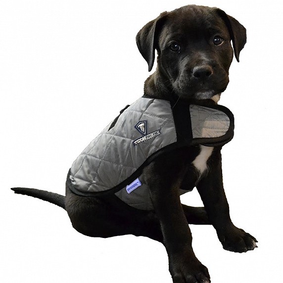 Product image for TechNiche® Evaporative Cooling Dog Coats